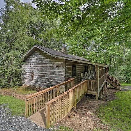 Cozy 'Grey Fox' Cabin Between Boone & 布洛英罗克山 外观 照片